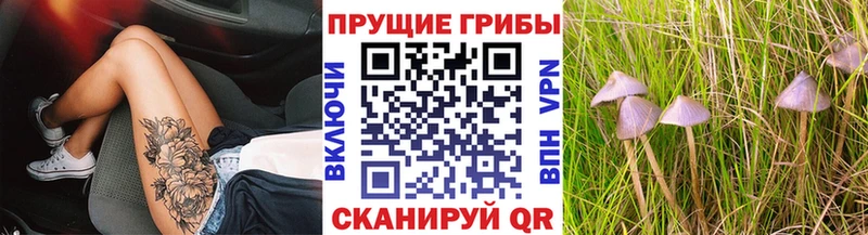 Псилоцибиновые грибы MAGIC MUSHROOMS Донской