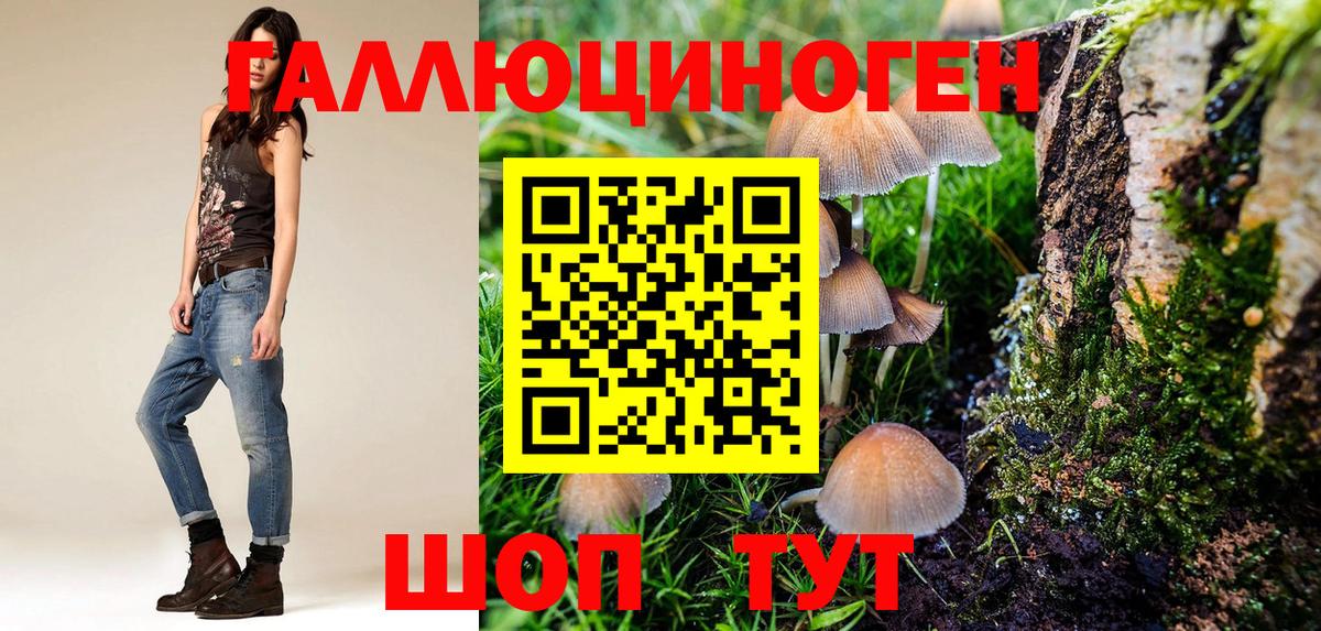 Псилоцибиновые грибы MAGIC MUSHROOMS Донской