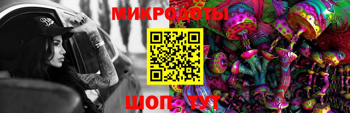 Галлюциногенные грибы Psilocybe Донской