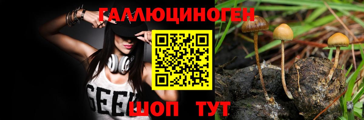 Галлюциногенные грибы Psilocybe  где купить наркотик  Донской  Вход с VPN 